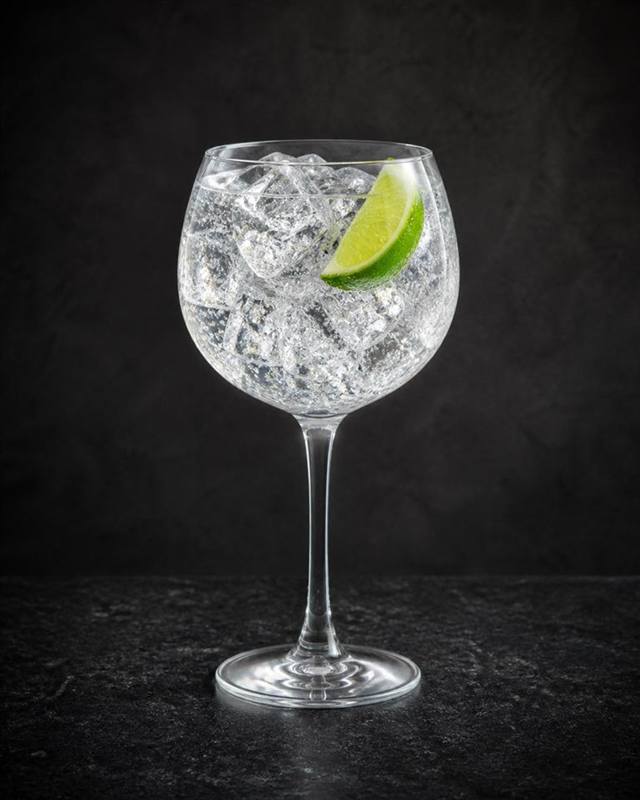 Gin and Tonic cocktail